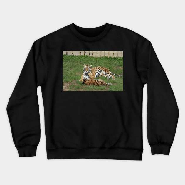 Tiger Mother and Cub Crewneck Sweatshirt by MarieDarcy